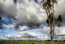 电脑基础！ESP/MSR分区简介，以及其特性详解。