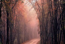 linux ubuntu 修改系统时间,时间同步